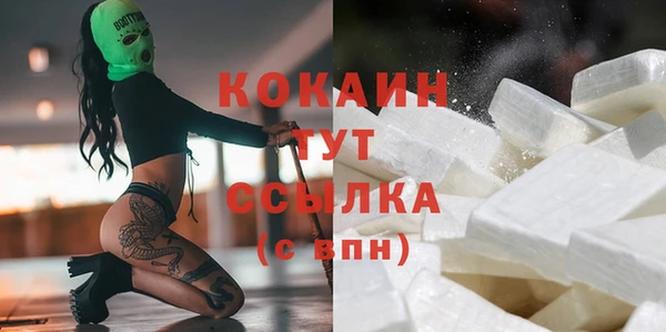 винт Надым