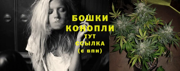 винт Надым